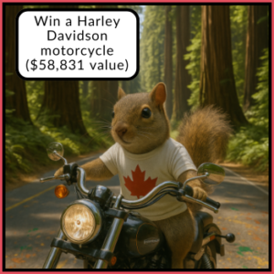 Win a Harley Davidson motorcycle.