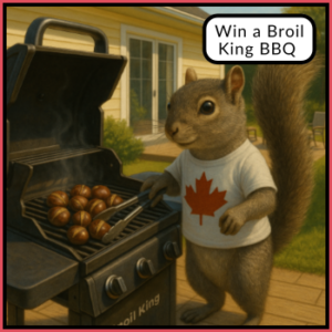 Win a Broil King BBQ.
