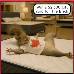 Win a $2,500 gift card for The Brick